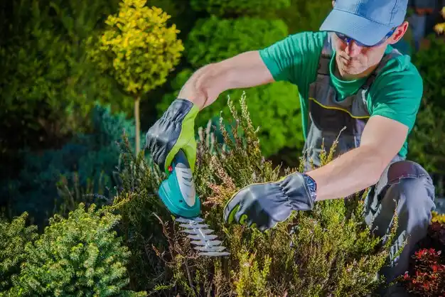 landscaping services Ansley